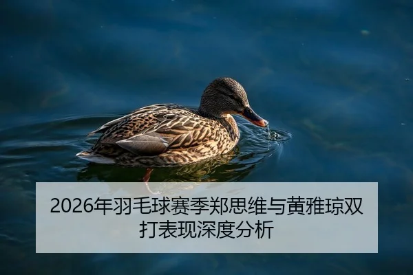 nian-yu-mao-qiu-sai-ji-zheng-si-wei-yu-huang-ya-qiong-shuang-da-biao-xian-shen-du-fen-xi-2-460.jpg