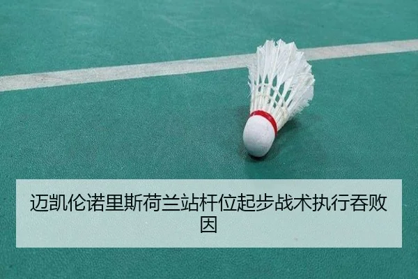 mai-kai-lun-nuo-li-si-he-lan-zhan-gan-wei-qi-bu-zhan-shu-zhi-xing-tun-bai-yin-2-203.jpg
