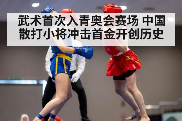 武术首次入青奥会赛场 中国散打小将冲击首金开创历史