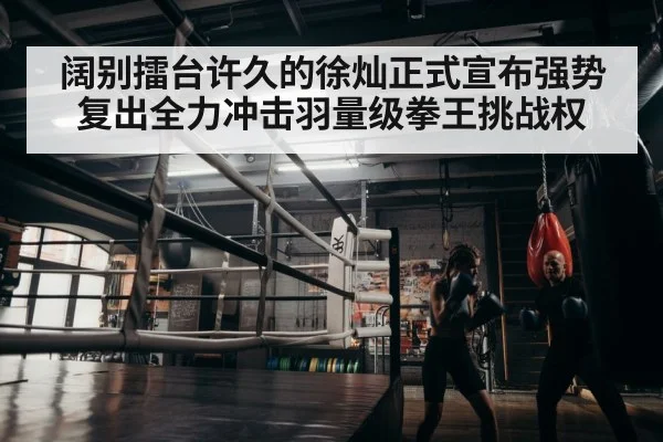 boxer training