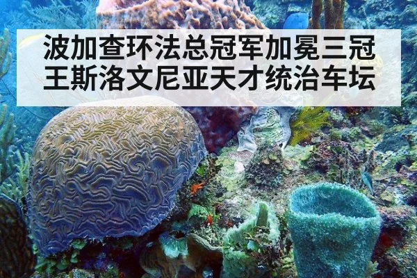 波加查环法总冠军加冕三冠王斯洛文尼亚天才统治车坛